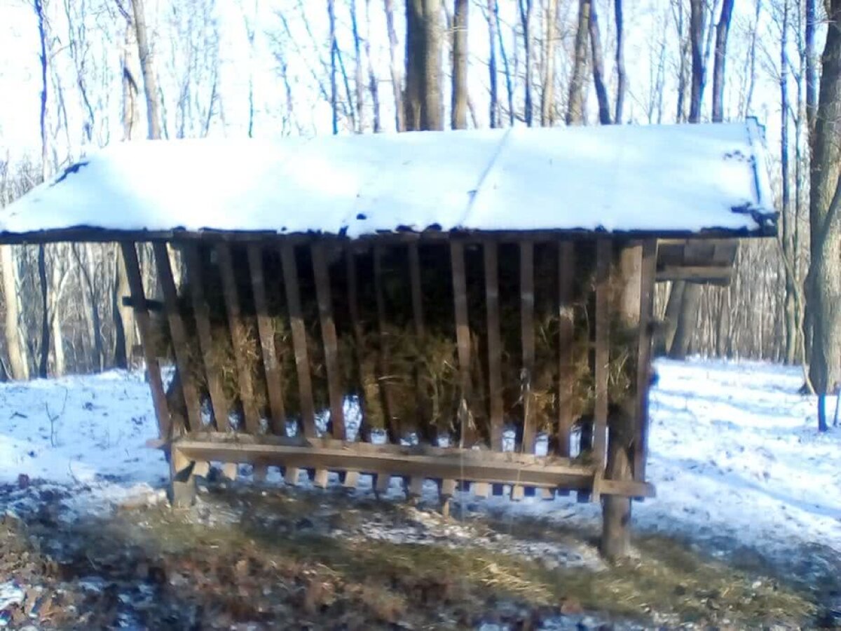 FOTO Vivi Ochi-de-Șoim » Momente inedite trăite pe munte de Răchită: "Am înotat în multe ocazii prin zăpadă de un metru ca să ajungem la standurile de tragere!"