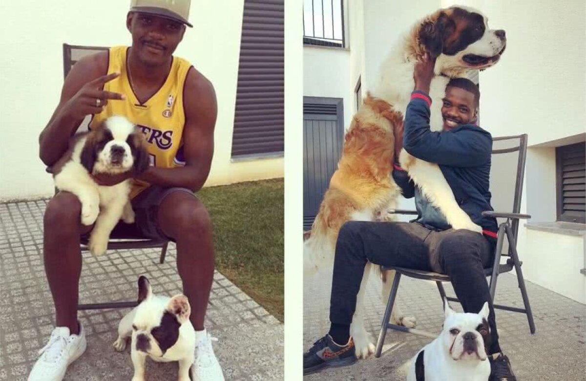 Fotografia zilei - cele mai interesante imagini ale lunii ianuarie 2018 în sport