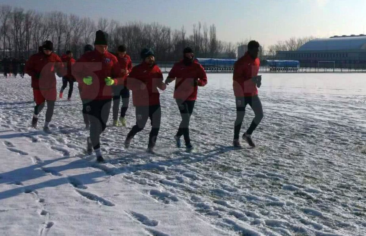 EXCLUSIV GALERIE FOTO Doi străini în probe la Steaua! Pleacă în cantonament și au șanse mari să semneze 