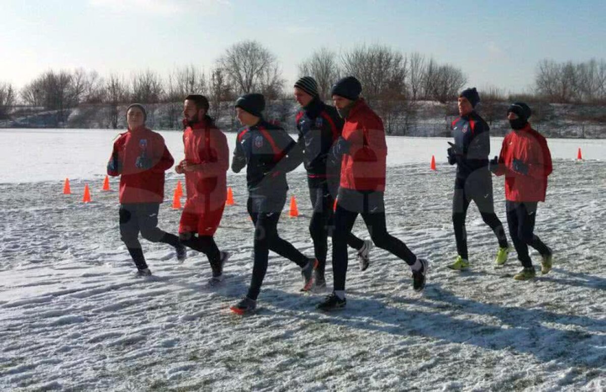 EXCLUSIV GALERIE FOTO Doi străini în probe la Steaua! Pleacă în cantonament și au șanse mari să semneze 