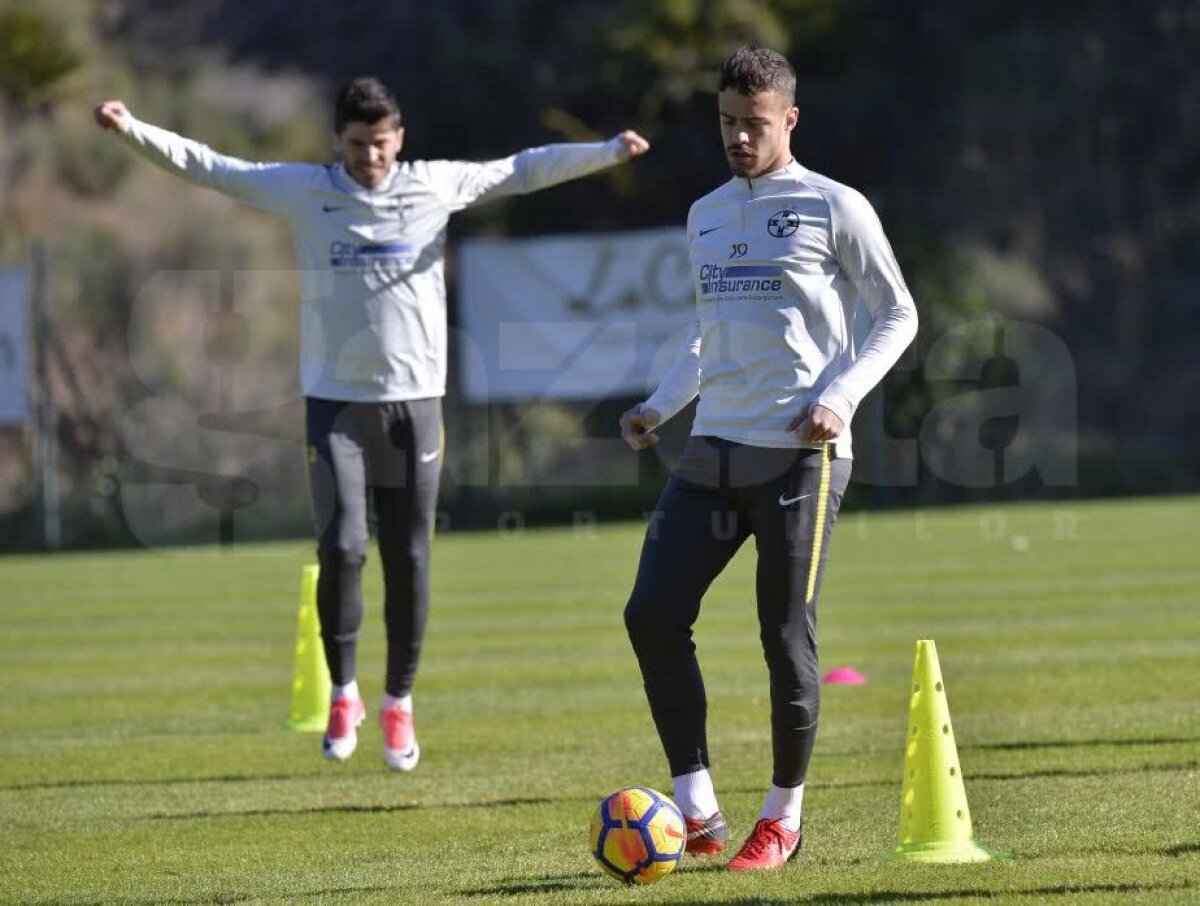 Jucătorii FCSB-ului abia așteaptă meciul Simonei Halep! Ultimul venit a vorbit despre transfer + cum vede lupta la titlu 