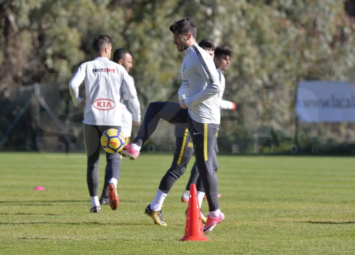 Jucătorii FCSB-ului abia așteaptă meciul Simonei Halep! Ultimul venit a vorbit despre transfer + cum vede lupta la titlu 