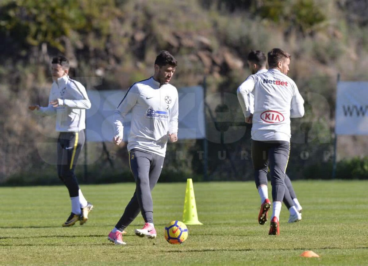 Jucătorii FCSB-ului abia așteaptă meciul Simonei Halep! Ultimul venit a vorbit despre transfer + cum vede lupta la titlu 