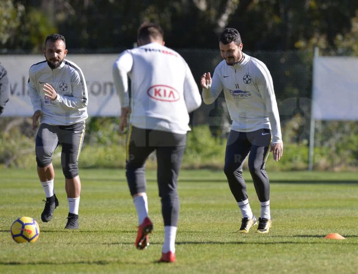 Jucătorii FCSB-ului abia așteaptă meciul Simonei Halep! Ultimul venit a vorbit despre transfer + cum vede lupta la titlu 