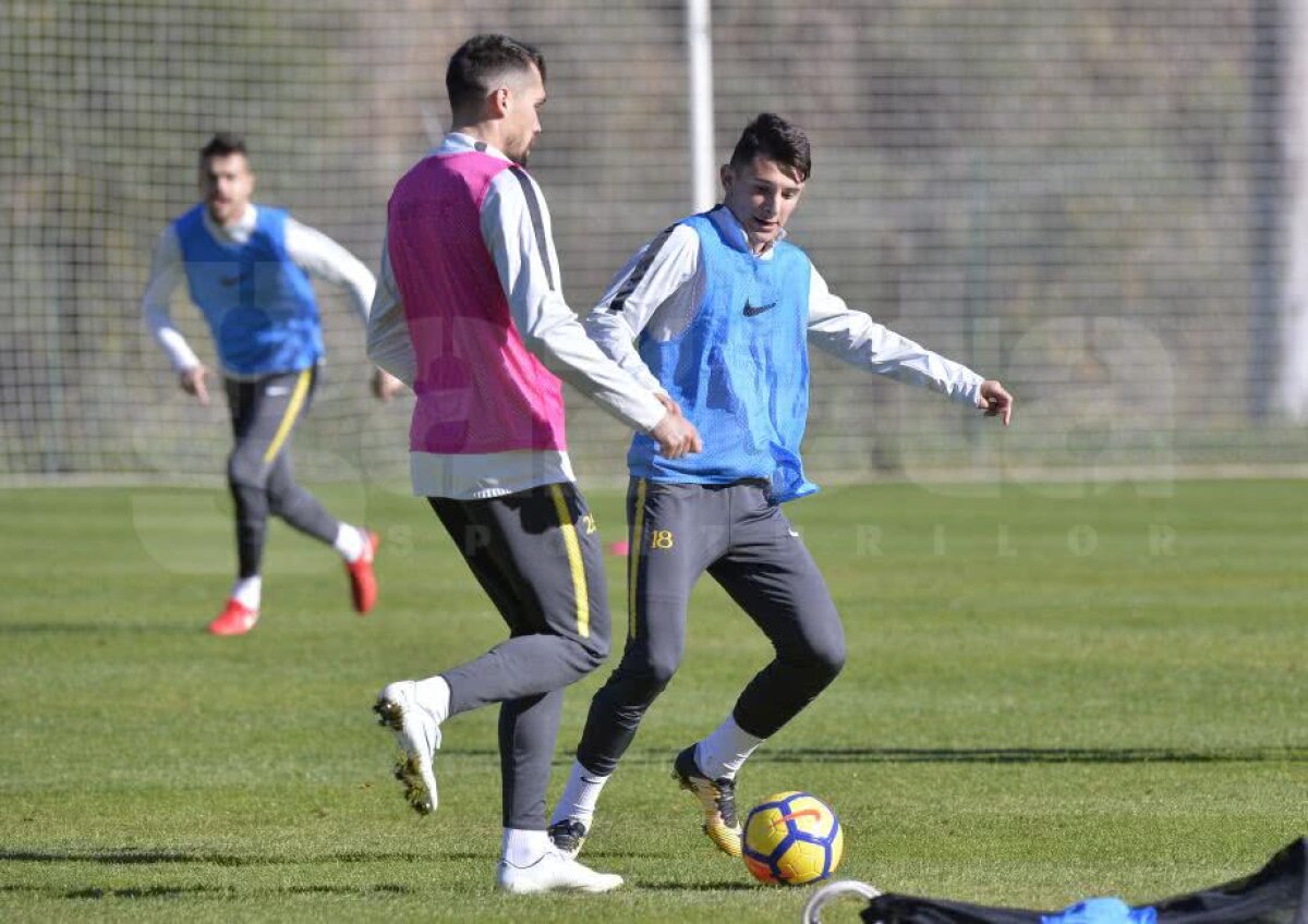 Jucătorii FCSB-ului abia așteaptă meciul Simonei Halep! Ultimul venit a vorbit despre transfer + cum vede lupta la titlu 