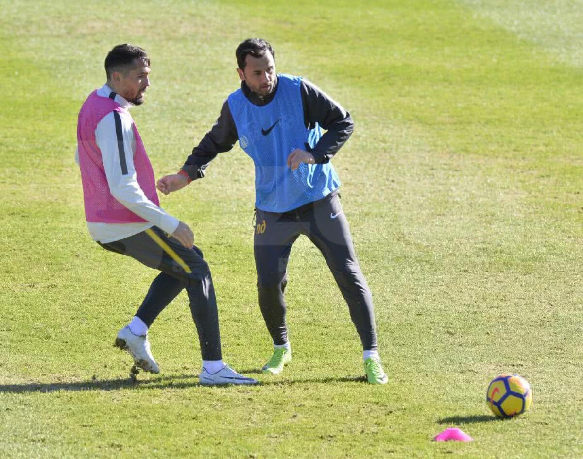 Jucătorii FCSB-ului abia așteaptă meciul Simonei Halep! Ultimul venit a vorbit despre transfer + cum vede lupta la titlu 