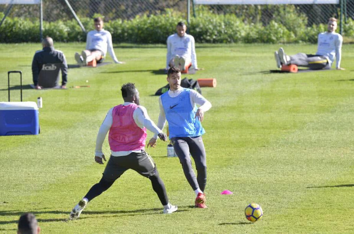 Jucătorii FCSB-ului abia așteaptă meciul Simonei Halep! Ultimul venit a vorbit despre transfer + cum vede lupta la titlu 