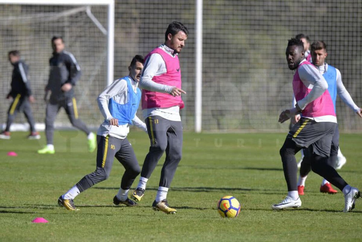 Jucătorii FCSB-ului abia așteaptă meciul Simonei Halep! Ultimul venit a vorbit despre transfer + cum vede lupta la titlu 