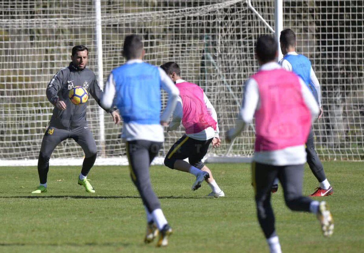 Jucătorii FCSB-ului abia așteaptă meciul Simonei Halep! Ultimul venit a vorbit despre transfer + cum vede lupta la titlu 