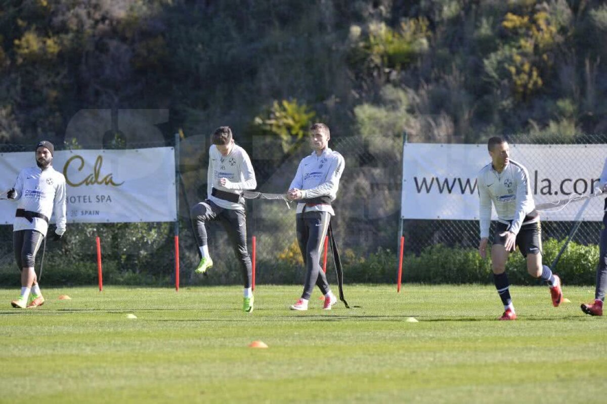 GALERIE FOTO CORESPONDENȚĂ DIN SPANIA » Diii! Dică a luat primele măsuri după eșecurile din 2018 + imagini de la antrenamentul FCSB-ului 