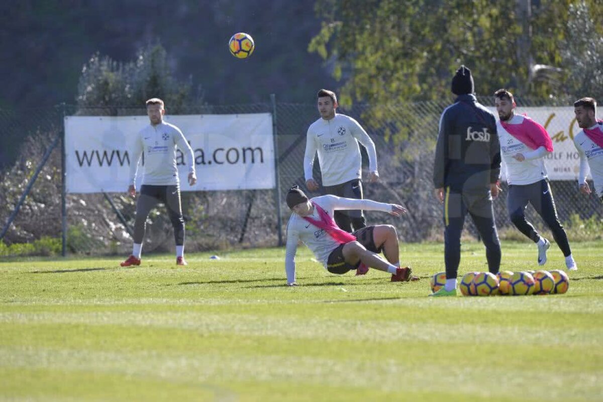 GALERIE FOTO CORESPONDENȚĂ DIN SPANIA » Diii! Dică a luat primele măsuri după eșecurile din 2018 + imagini de la antrenamentul FCSB-ului 