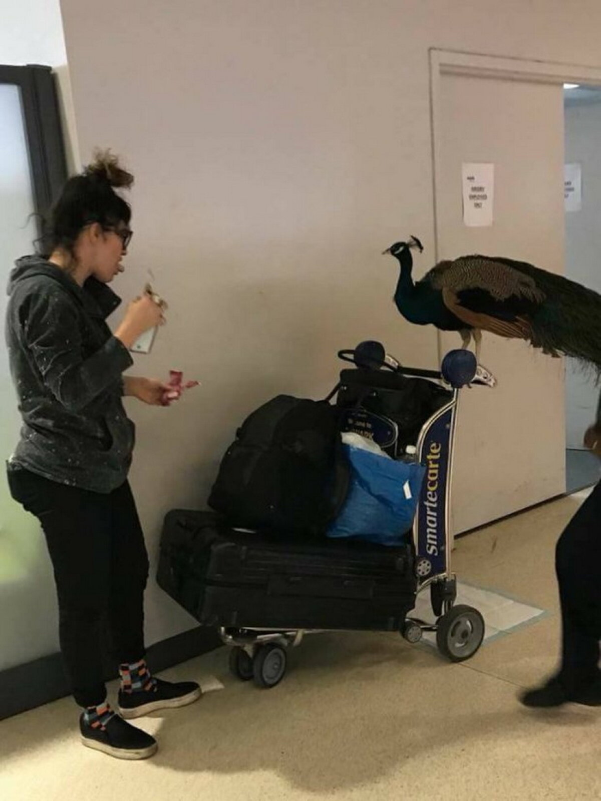 FOTO Imagini amuzante din aeroportul Newark Liberty. Uite de cine a venit însoţită o femeie!