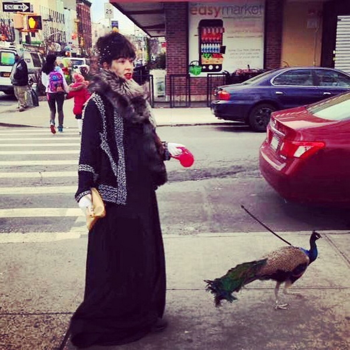 FOTO Imagini amuzante din aeroportul Newark Liberty. Uite de cine a venit însoţită o femeie!