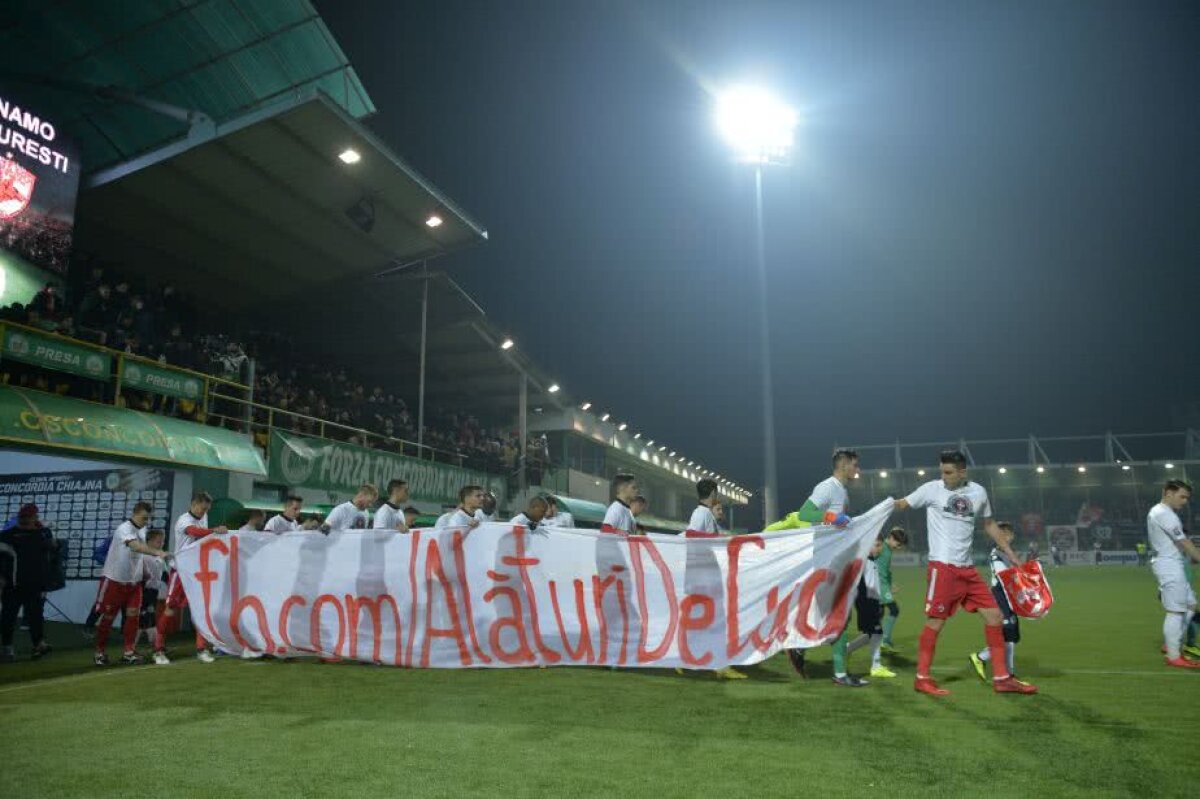 VIDEO+FOTO » Dinamo a trăit periculos meciul cu Chiajna! "Câinii" au învins într-un meci cu 7 goluri și au urcat pe loc de play-off