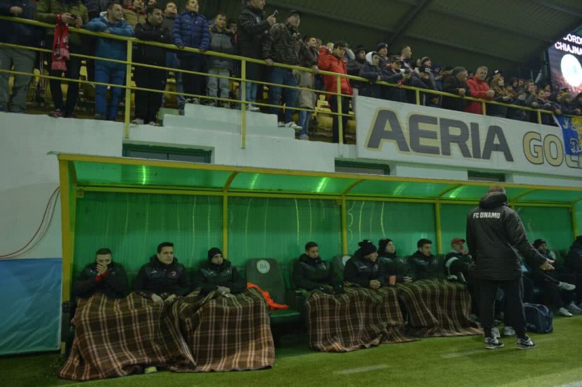 VIDEO+FOTO » Dinamo a trăit periculos meciul cu Chiajna! "Câinii" au învins într-un meci cu 7 goluri și au urcat pe loc de play-off