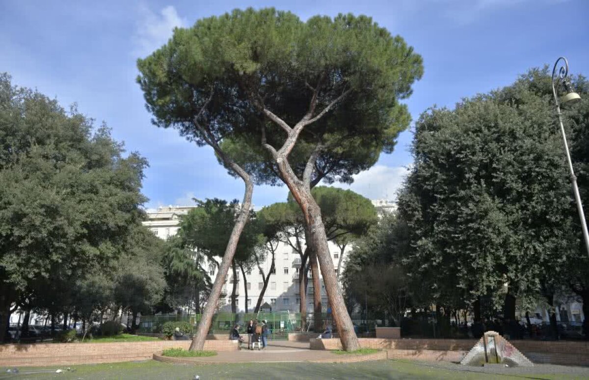 Reportaj GSP din Roma // E criză la noi, e-n criză și imperiul » Din Lazio și din Serie A a mai rămas doar faima fantastică