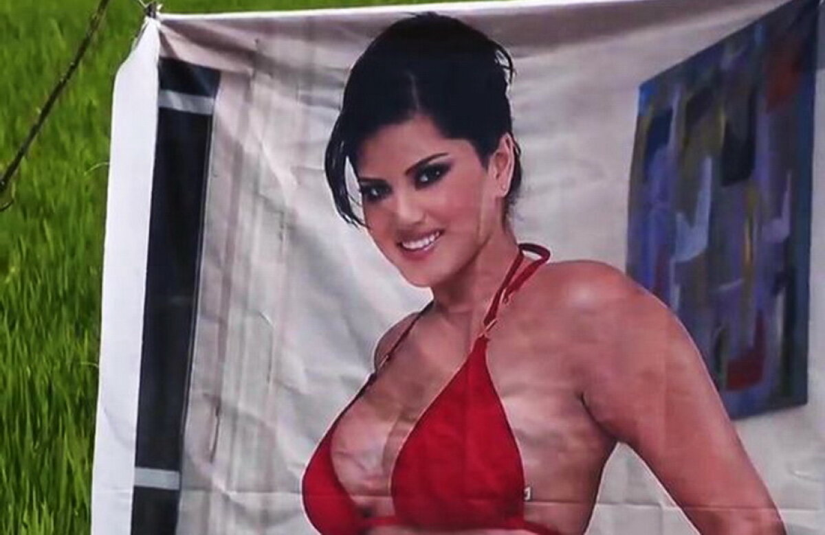Culmea agriculturii! Un fermier crede că un star porno i-a crescut cultura de varză
