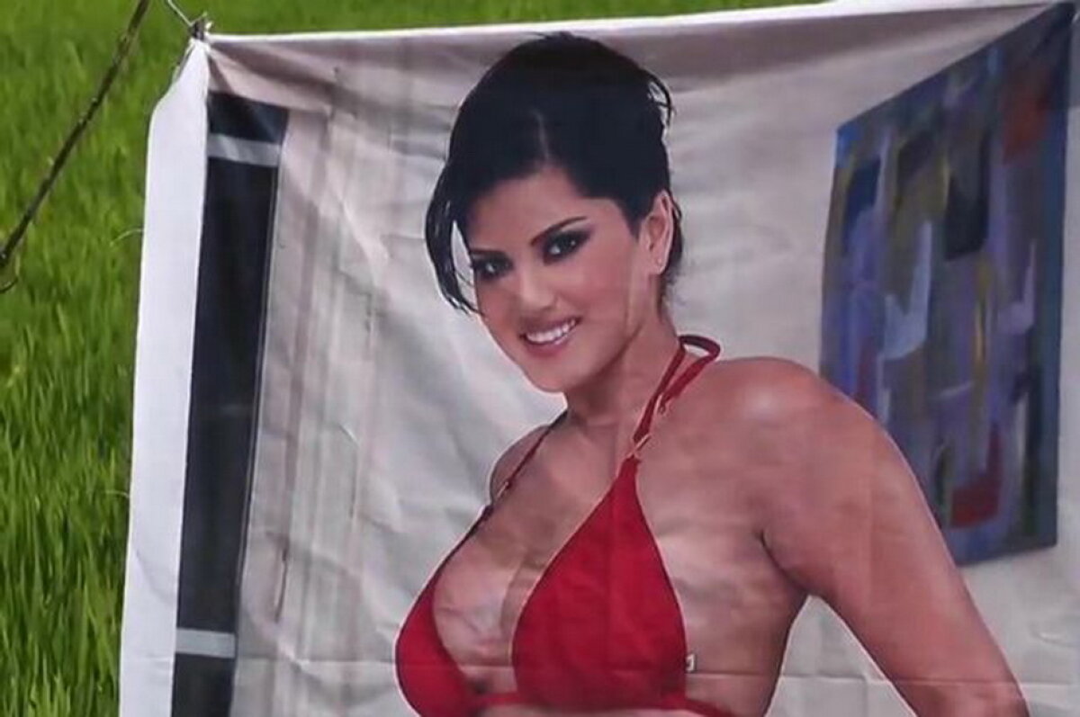Culmea agriculturii! Un fermier crede că un star porno i-a crescut cultura de varză