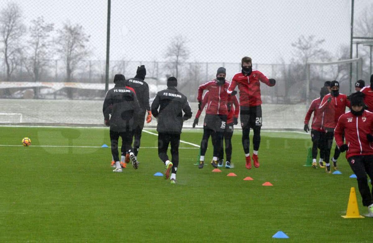 GALERIE FOTO + VIDEO Florin Bratu a condus azi primul antrenament la Dinamo! Cum a încercat să-i mobilizeze pe jucători
