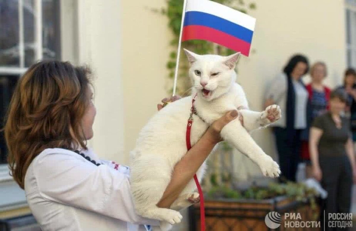 Fotografia zilei - cele mai interesante imagini ale lunii martie 2018 în sport