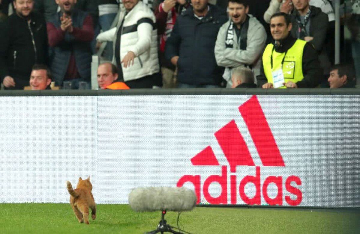 FOTO Fază amuzantă în Beșitaș - Bayern » Meciul a fost întrerupt: “Ne-am bucurat când a sărit peste reclame” :)