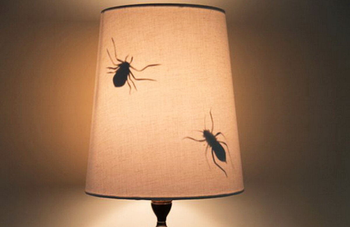 FOTO Cele mai tari farse de 1 aprilie care au făcut înconjurul internetului