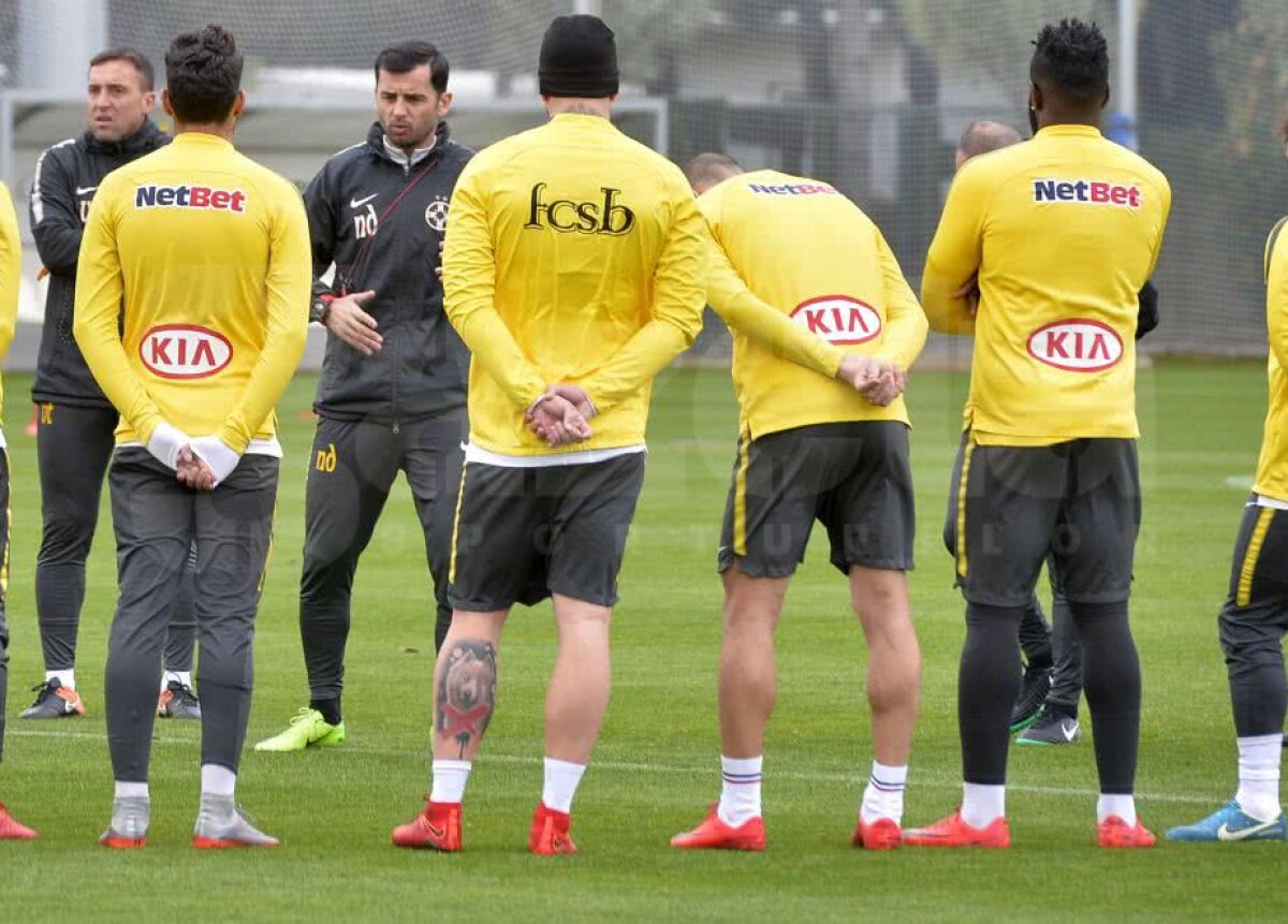 Schimb haios de replici între Alibec și un copil: "Ce urs are pe picior! Sau nu e urs?" 