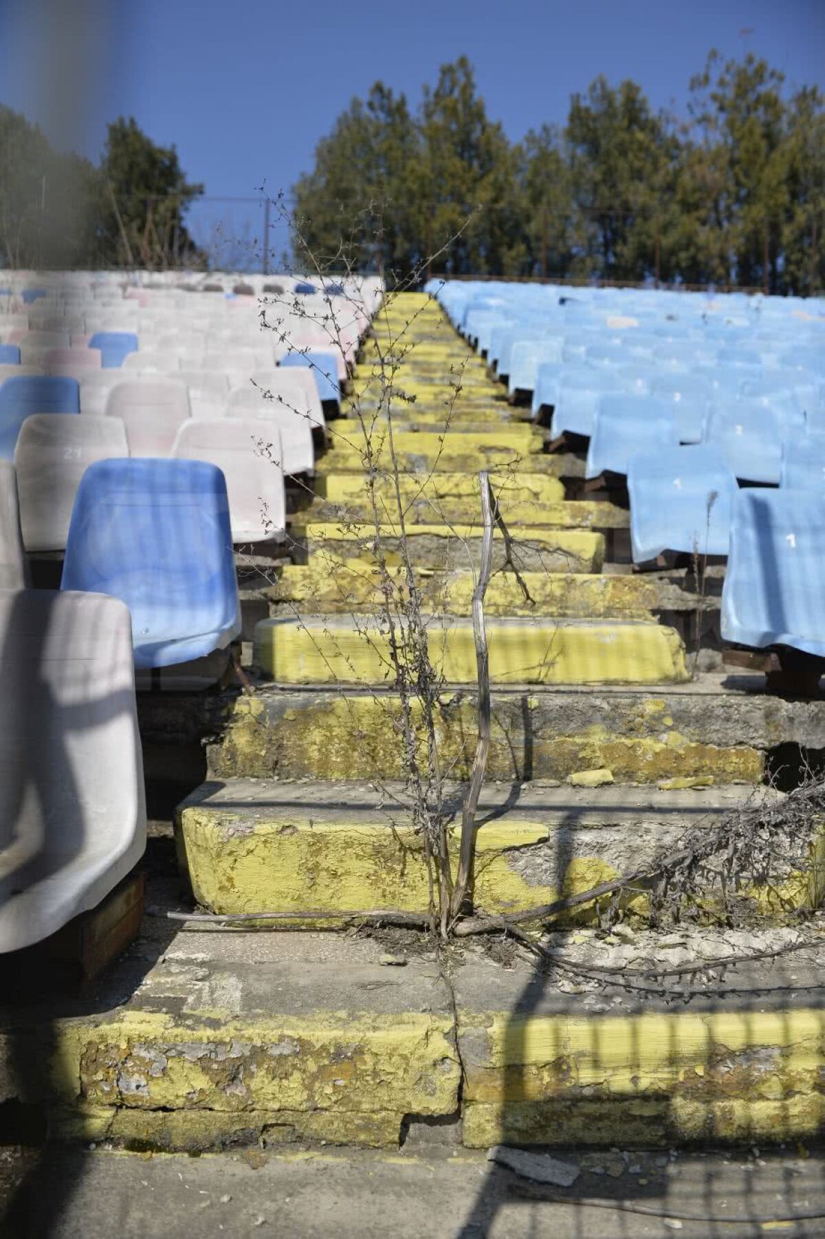 GALERIE FOTO Imagini DEZOLANTE de pe stadionul Ghencea » Cum arată arena cu câteva zile înainte de demolare