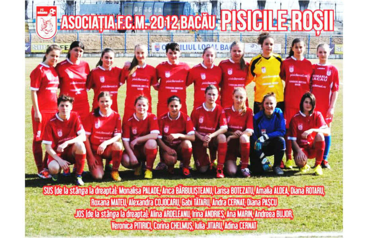 EXCLUSIV Federația pisicuțelor și a vulpițelor! Cum s-au tranșat alegerile FRF: "Cu Burleanu 4 ani, cu Lupescu 30 de minute" 