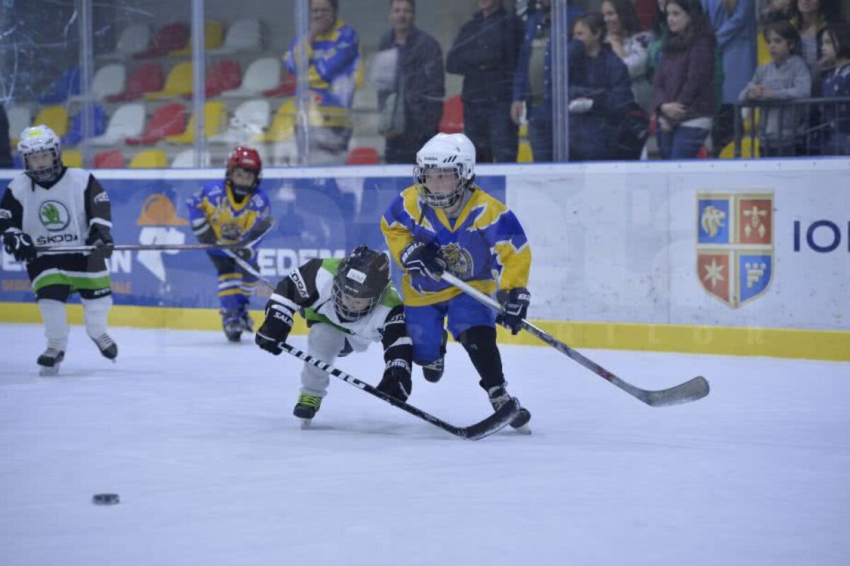 GALERIE FOTO + VIDEO Zâmbete și dăruire pe gheață » Imagini savuroase de la Cupa Primăverii, cel mai spectaculos eveniment de hochei pe gheață pentru copii 