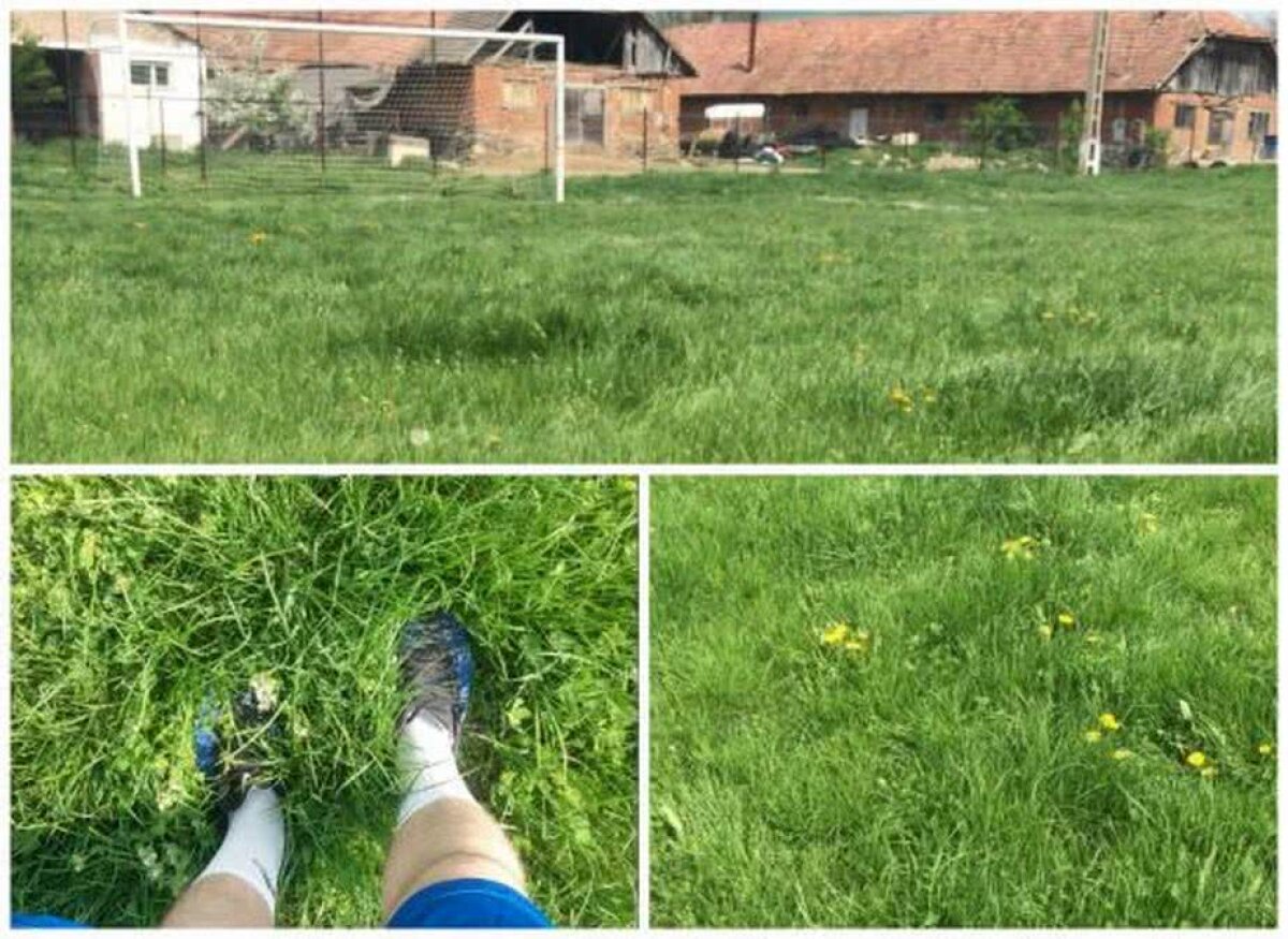 FOTO Se întâmplă în România » Mingea a dispărut în iarbă: "Trebuia să jucăm ca la fotbalul pe plajă" :D