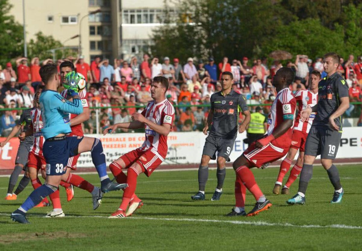 VIDEO + FOTO Sepsi OSK rămâne neînvinsă și după meciul cu Dinamo, 2-0 » "Dubla" lui Tandia a decis duelul