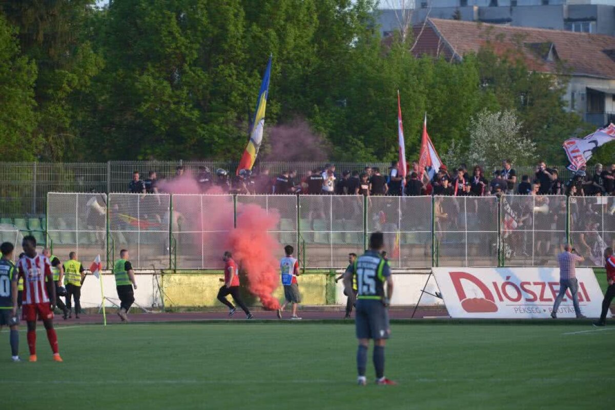 VIDEO + FOTO Sepsi OSK rămâne neînvinsă și după meciul cu Dinamo, 2-0 » "Dubla" lui Tandia a decis duelul