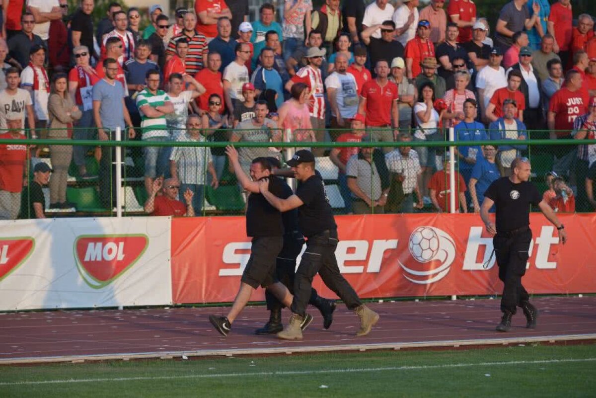 VIDEO + FOTO Sepsi OSK rămâne neînvinsă și după meciul cu Dinamo, 2-0 » "Dubla" lui Tandia a decis duelul