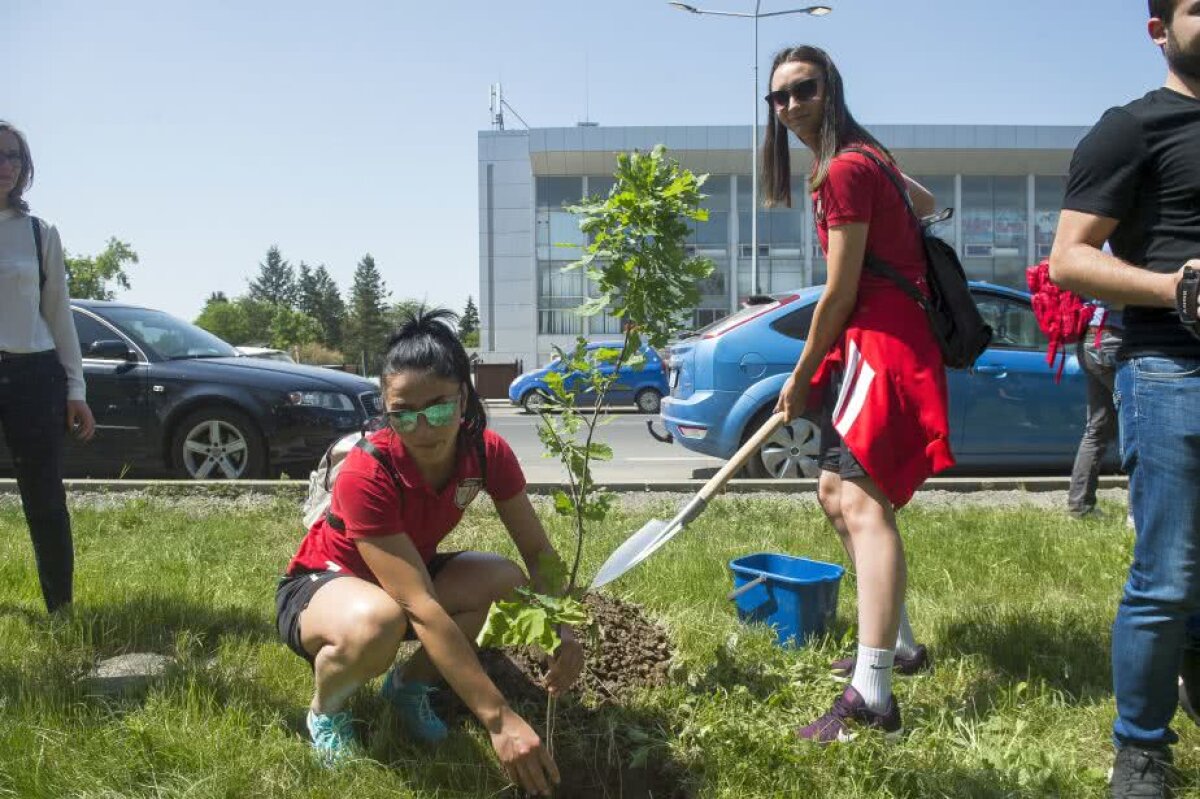 GALERIE FOTO Cele mai bune voleibaliste din lume au plantat copaci în Parcul Tineretului din Capitală: "De acum știu că la București am plantat un copac. O să spun tuturor"