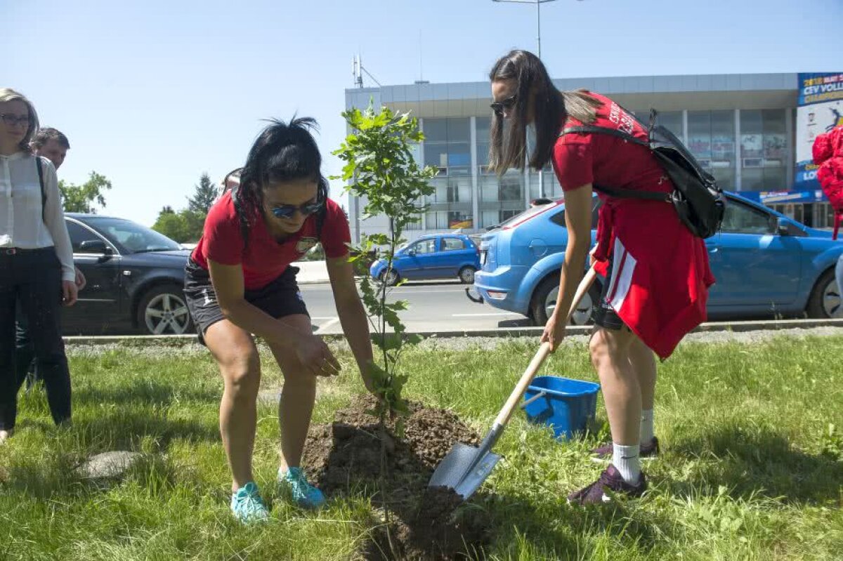 GALERIE FOTO Cele mai bune voleibaliste din lume au plantat copaci în Parcul Tineretului din Capitală: "De acum știu că la București am plantat un copac. O să spun tuturor"