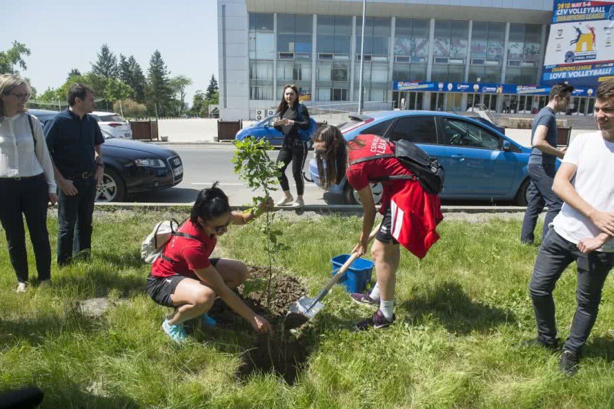 GALERIE FOTO Cele mai bune voleibaliste din lume au plantat copaci în Parcul Tineretului din Capitală: "De acum știu că la București am plantat un copac. O să spun tuturor"