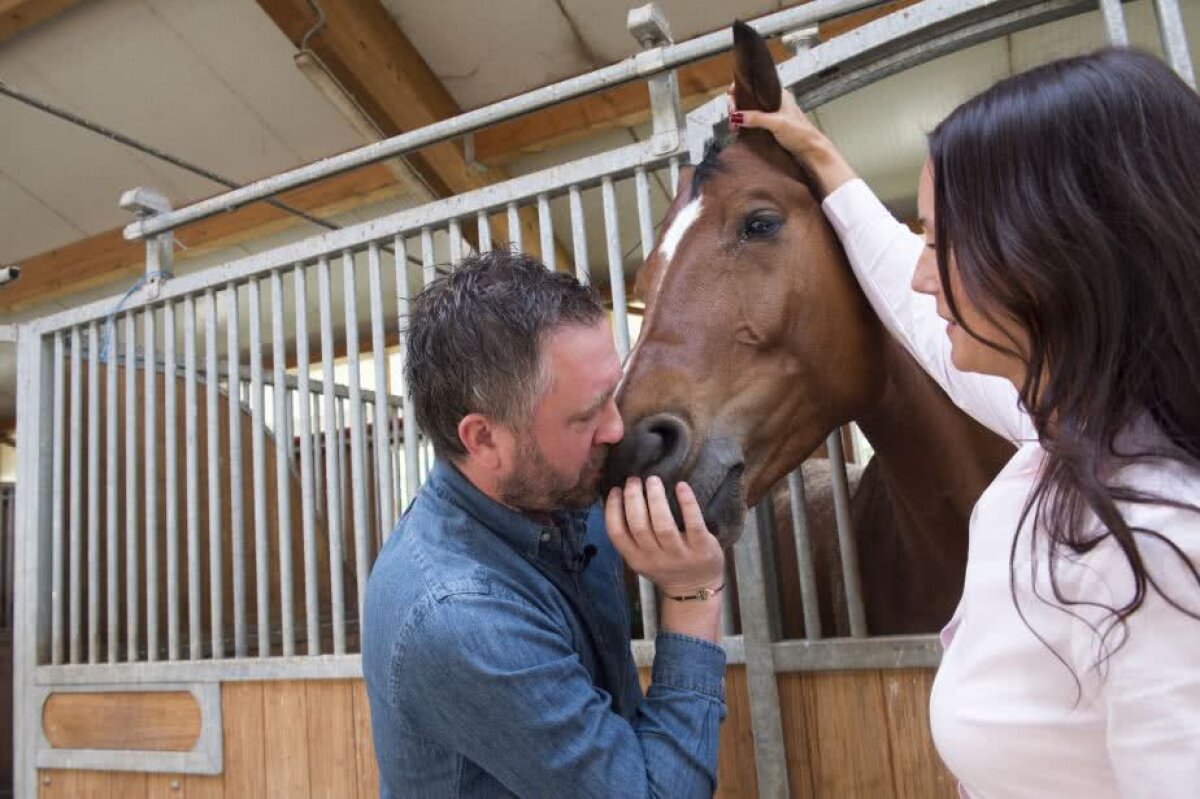GALERIE FOTO Reportaj GSP înainte de Final Four » Per Johansson l-a supus pe Guliver! Și acum merge la Budapesta! "Calul are un ego al său, la fel ca handbalistele de top"