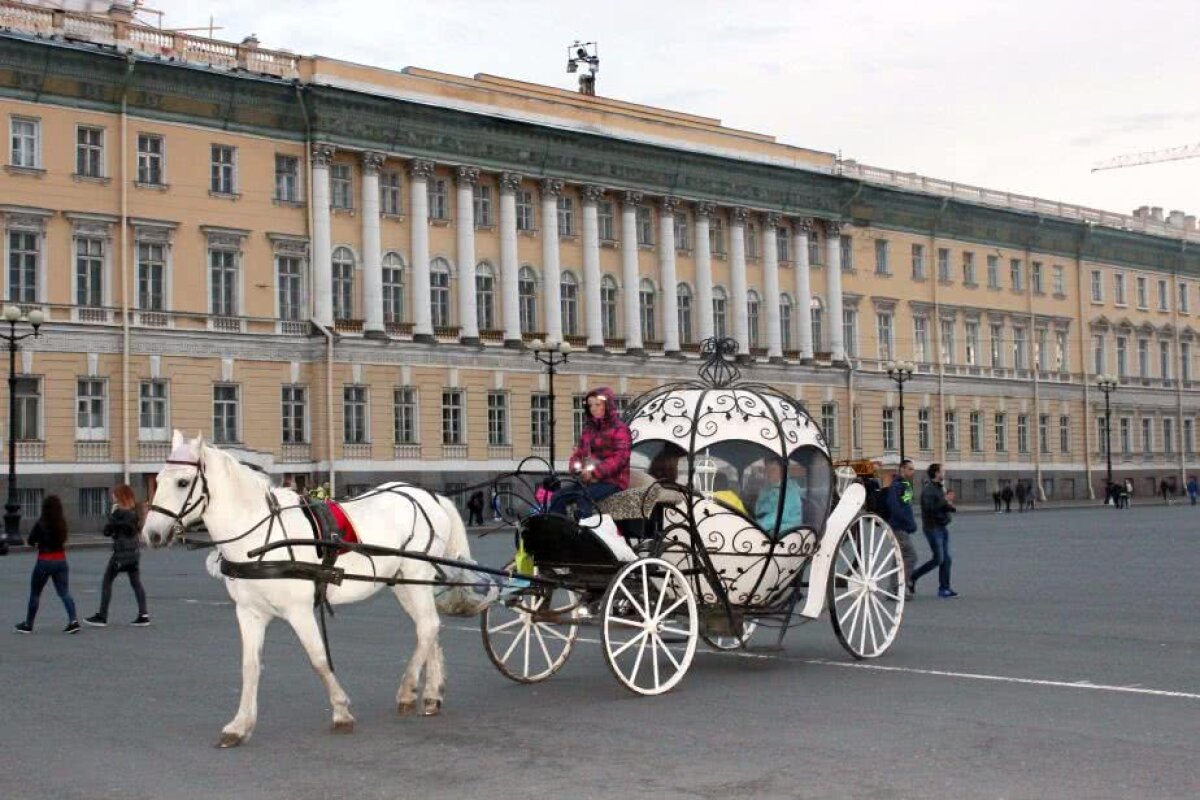 VIDEO+FOTO Primele impresii ale trimisului special GSP la Mondial, cu 4 zile înainte de start: "Am ajuns în Sankt Petersburg, orașul care te vrăjește până te trezesc polițiștii din visare" :)