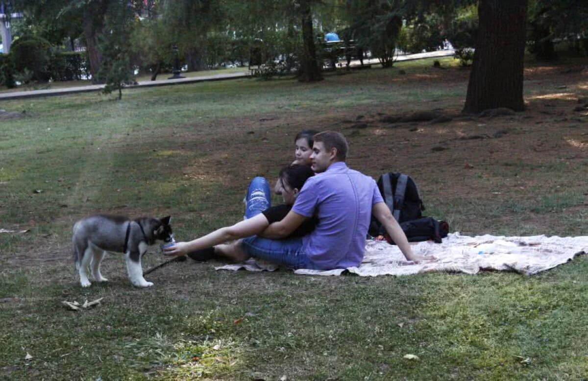 CORESPONDENȚĂ DIN RUSIA // VIDEO + FOTO Ce a rămas la Soci după JO 2014 » Lumea contrastelor și a celei mai controversate Olimpiade din istorie