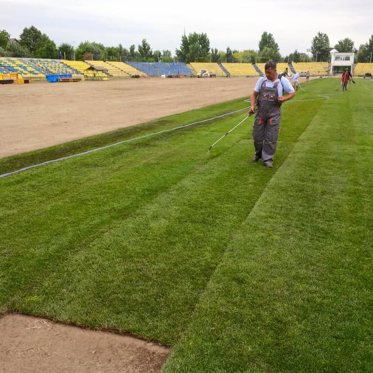 GALERIE FOTO La Călărași se muncește la foc automat pentru primul meci din L1 » A fost adus noul gazon!
