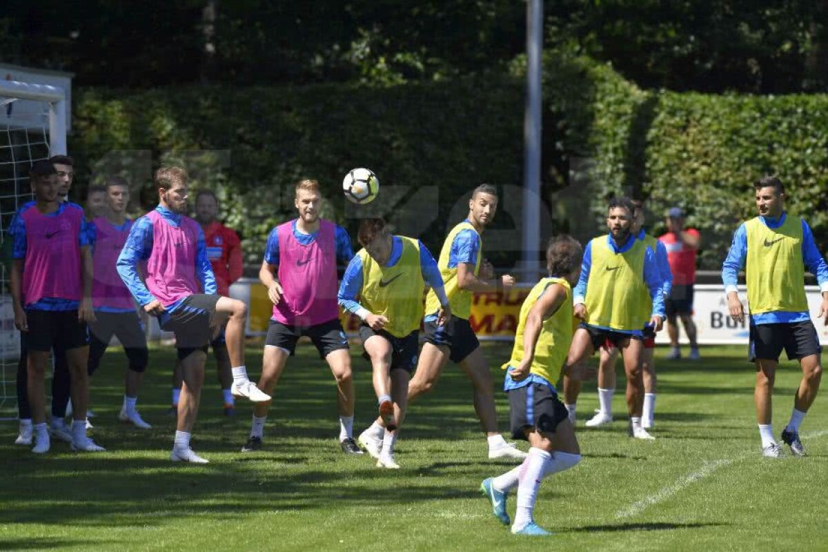 CORESPONDENȚĂ DIN OLANDA // GALERIE FOTO + VIDEO Continuă antrenamentele tari pentru FCSB » Ce i-a pus Dică pe jucători să facă