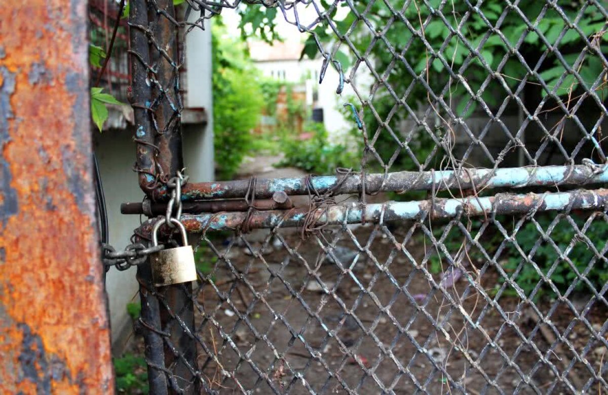 FOTOREPORTAJ GSP Jungla din mijlocul Ploieștiului » Baza sportivă cedată de MTS federației de judo e abandonată de 11 ani!