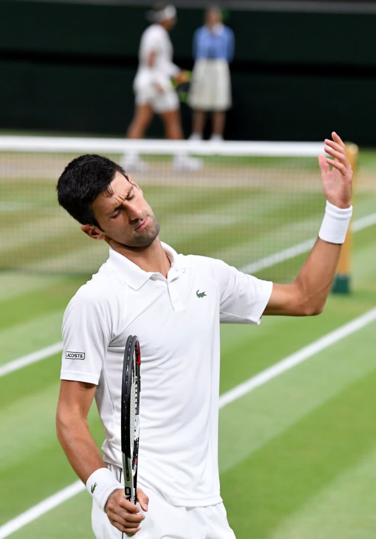 RAFAEL NADAL - NOVAK DJOKOVIC » VIDEO+FOTO » Djoker s-a întors! Nole îl învinge pe Nadal într-un thriller epic întins pe două zile și revine după doi ani într-o finală de Grand Slam