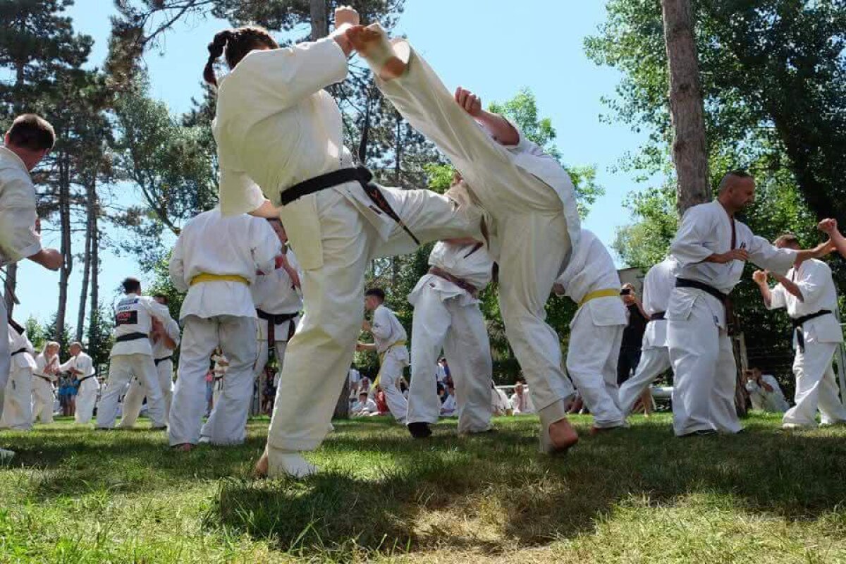 FOTOREPORTAJ GSP // Ziua examenului » Cum arată testul pe care sportivii practicanţi ai stilului de Karate Kyokushin trebuie să-l treacă pentru a câştiga o nouă centură