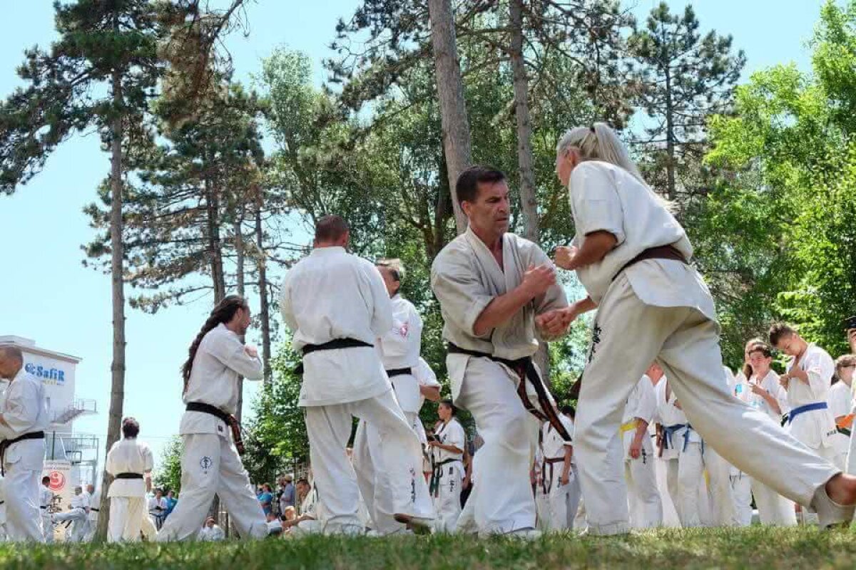 FOTOREPORTAJ GSP // Ziua examenului » Cum arată testul pe care sportivii practicanţi ai stilului de Karate Kyokushin trebuie să-l treacă pentru a câştiga o nouă centură