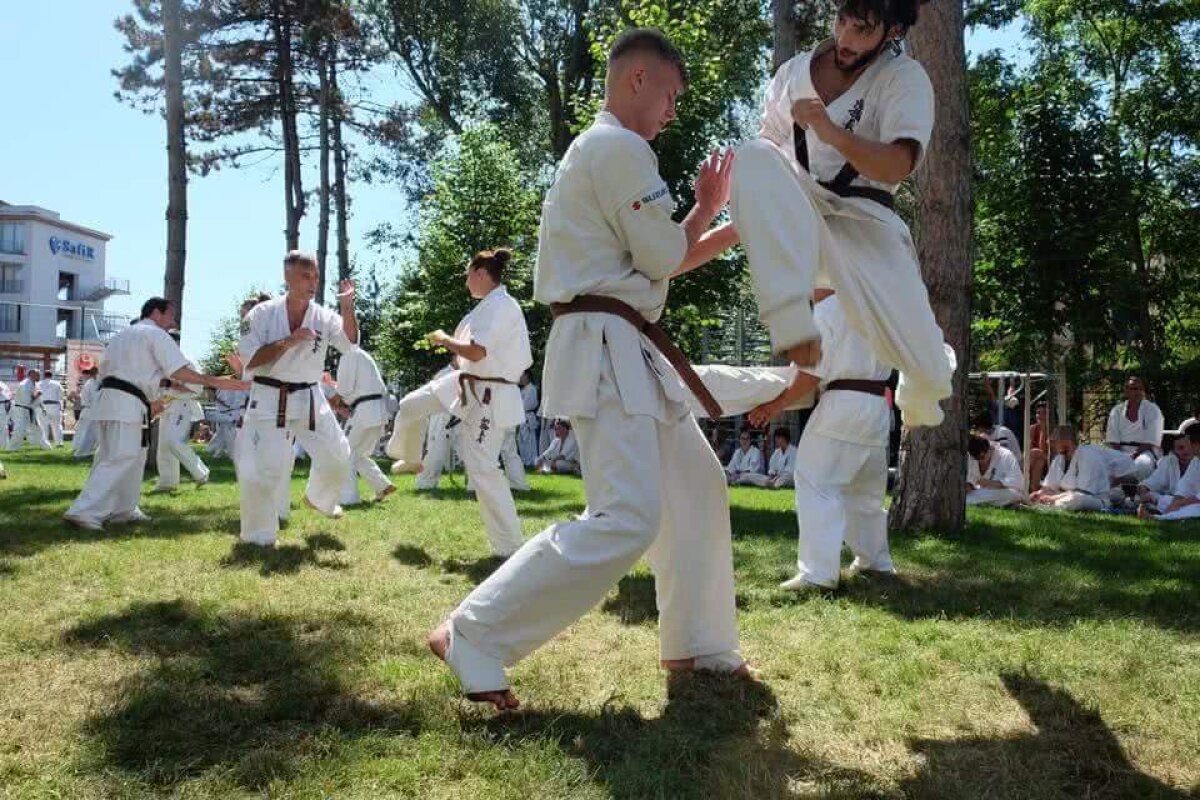 FOTOREPORTAJ GSP // Ziua examenului » Cum arată testul pe care sportivii practicanţi ai stilului de Karate Kyokushin trebuie să-l treacă pentru a câştiga o nouă centură