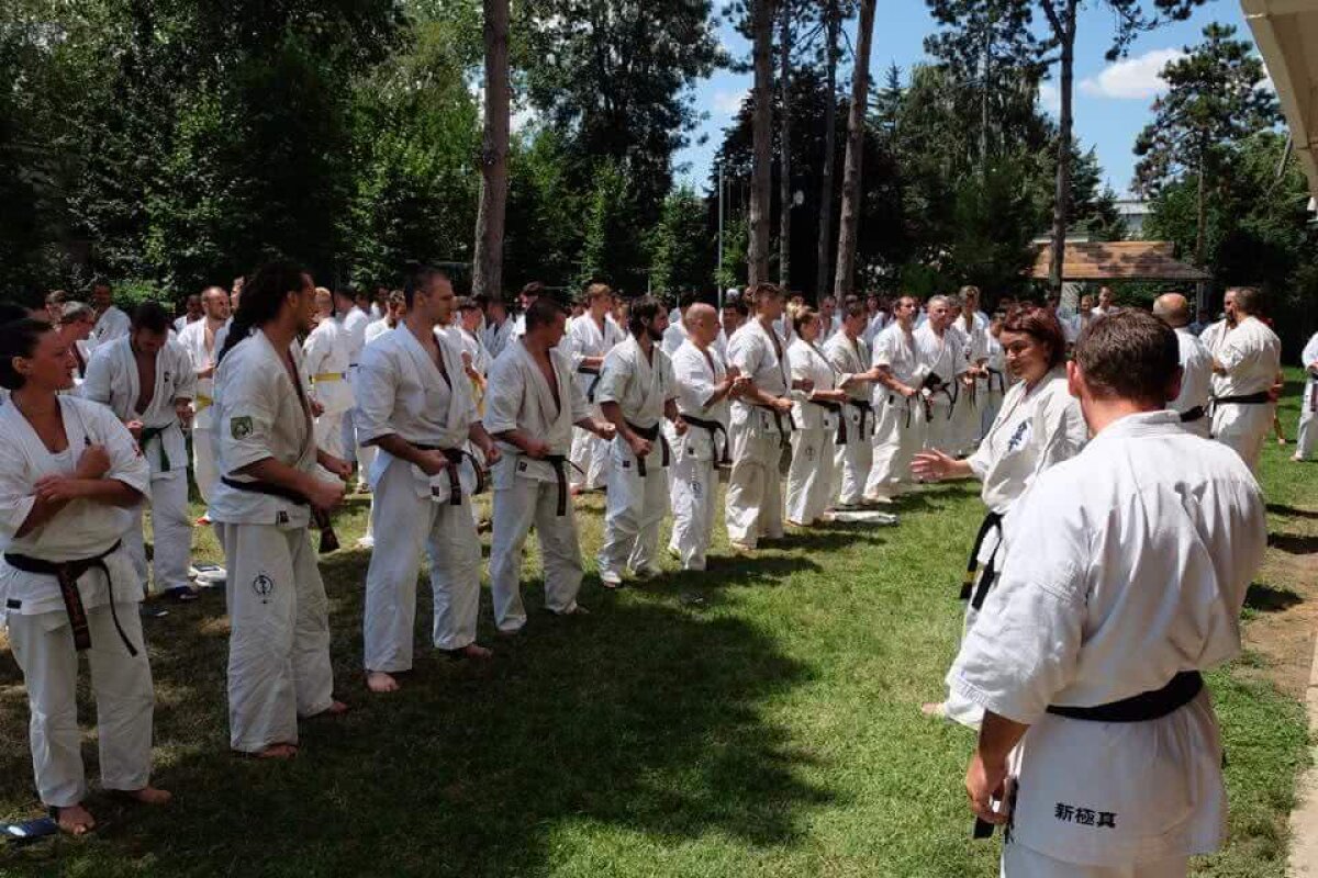 FOTOREPORTAJ GSP // Ziua examenului » Cum arată testul pe care sportivii practicanţi ai stilului de Karate Kyokushin trebuie să-l treacă pentru a câştiga o nouă centură