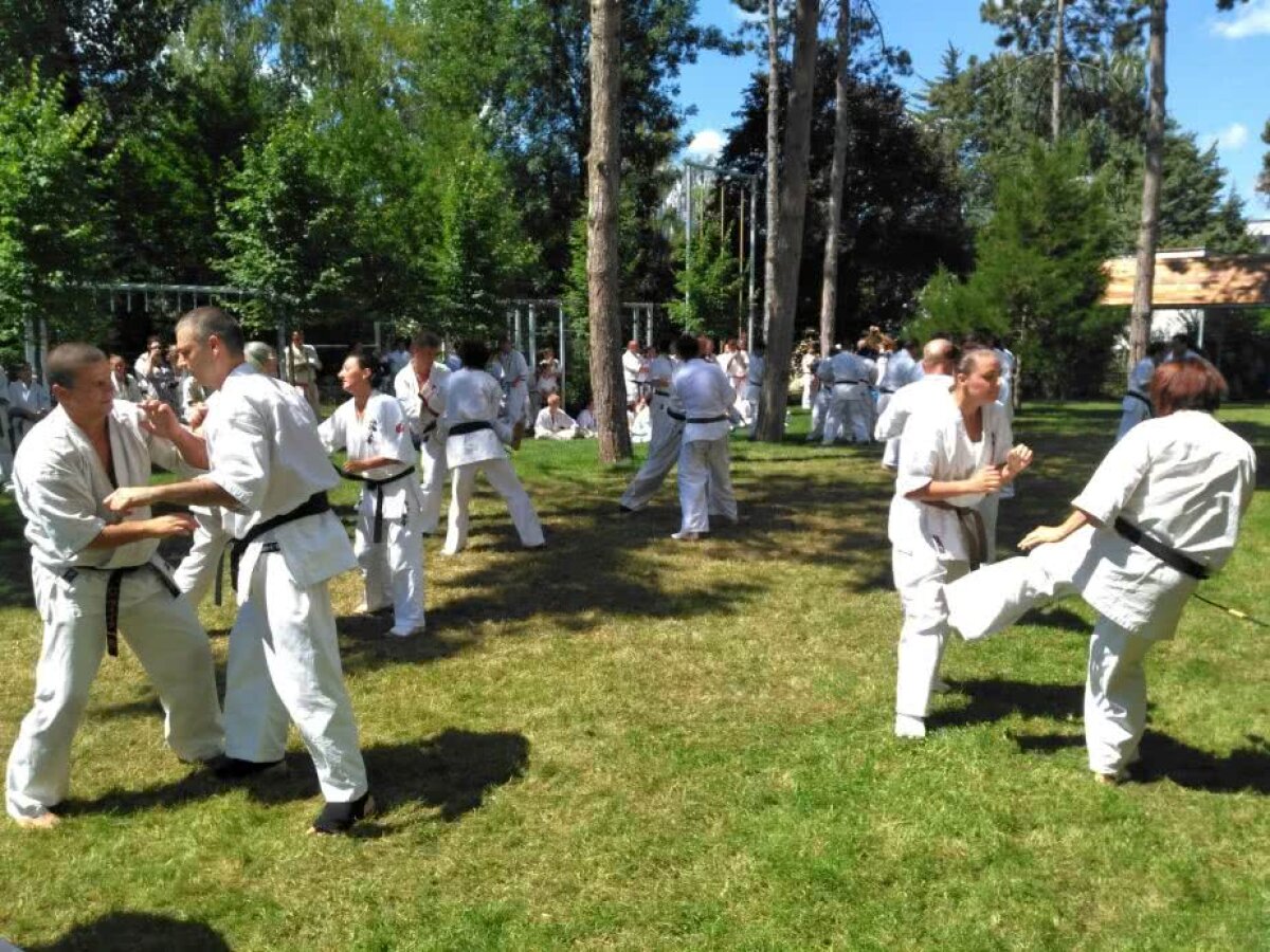 FOTOREPORTAJ GSP // Ziua examenului » Cum arată testul pe care sportivii practicanţi ai stilului de Karate Kyokushin trebuie să-l treacă pentru a câştiga o nouă centură