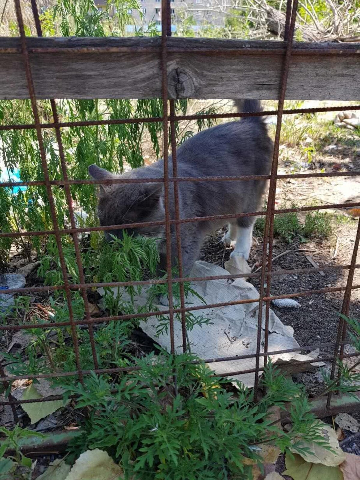 EXCLUSIV / VIDEO+FOTO Hipermarket pe locul fostei baze sportive Girueta! » Locuitorii din zonă sunt revoltaţi: "Vom ajunge în instanţă"